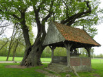 Kroezeboom met Landkruis Heilig Hartkapel